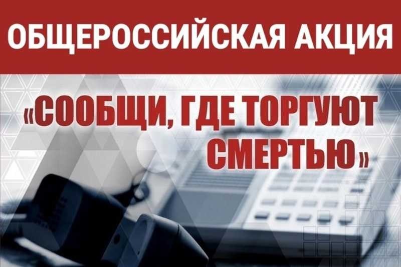 На Дону стартует второй этап акции «Сообщи, где торгуют смертью!»