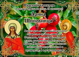 Арина Шиповница: почему 1 октября не стоит приглашать гостей?