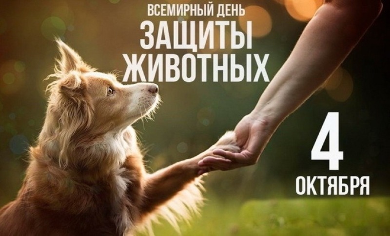 4 октября - Всемирный день животных