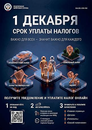 Заплатите налоги до 1 декабря