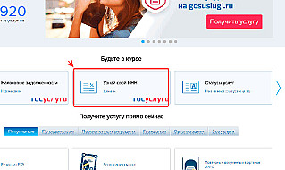 Получить ИНН на портале госуслуг