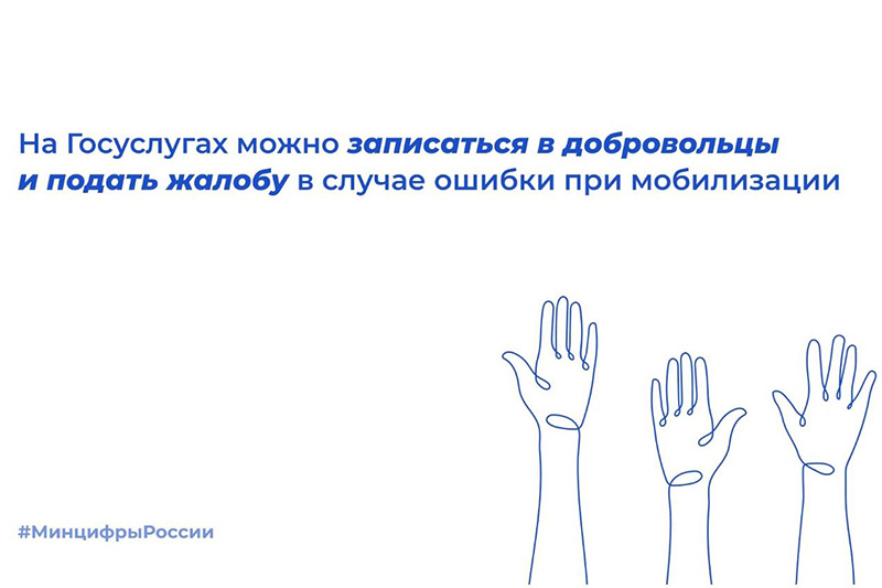 Добровольцы могут подать заявку на участие в СВО на портале госуслуг