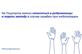 Добровольцы могут подать заявку на участие в СВО на портале госуслуг