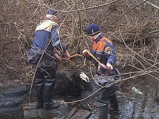 На помощь пришли спасатели