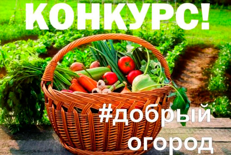 «Добрый огород»-2023: сезон открыт