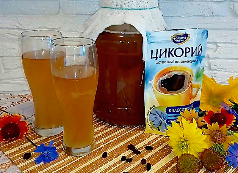  Домашняя кола из цикория и сиропа