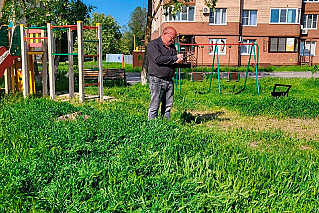 За нескошенную  траву могут привлечь к административной ответственности