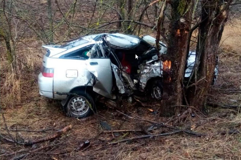 Врезались в дерево и погибли