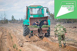 Сохранить природу Дона для будущих поколений