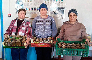 По ZOVу женского сердца: Советский  район