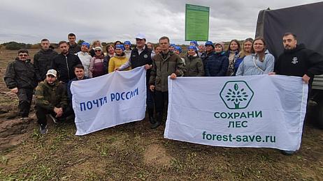 Благодаря помощи жителей в Татарстане растёт «Почтовый лес»