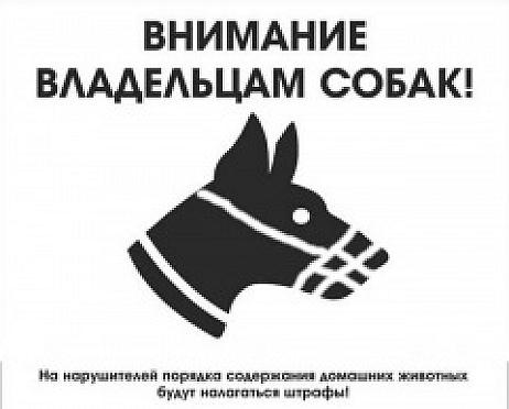 Вниманию владельцев собак!