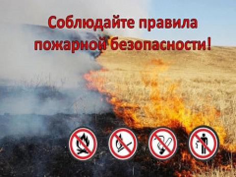 Вниманию руководителей сельскохозяйственных организаций,  крестьянско-фермерских и личных хозяйств