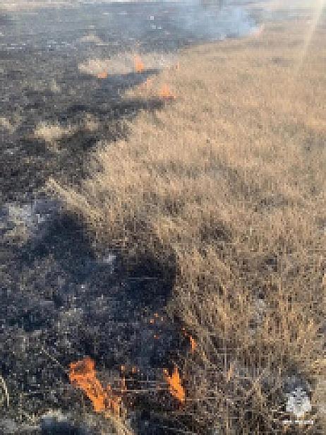 В Бурятии зафиксирован первый пал травы