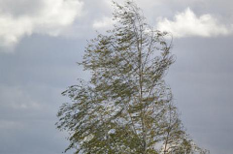 Предупреждение