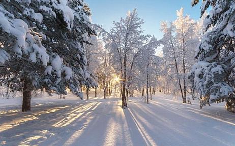 Погодные условия