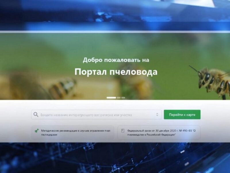 Ведена  в эксплуатацию подсистема «Портал пчеловода»