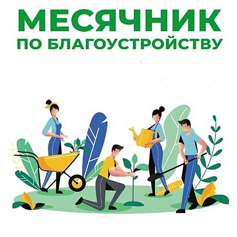 В Белинском районе проводится месячник по благоустройству и санитарной очистке территорий населенных пунктов