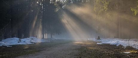 Погодные условия