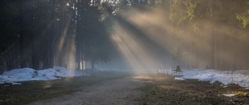 Погодные условия