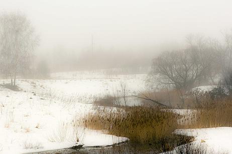 Погодные условия