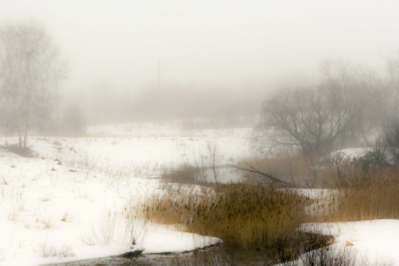 Погодные условия