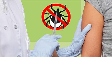 О вакцинации от клещевого вирусного энцефалита