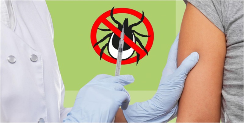 О вакцинации от клещевого вирусного энцефалита