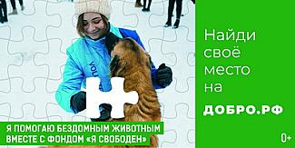Пазл добра