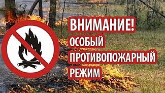 На территории Нижегородской области введен особый противопожарный режим