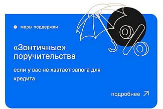  Нижегородский малый и средний бизнес в I полугодии увеличил объем привлеченных кредитов за счет «зонтичных» поручительств в 1,6 раза