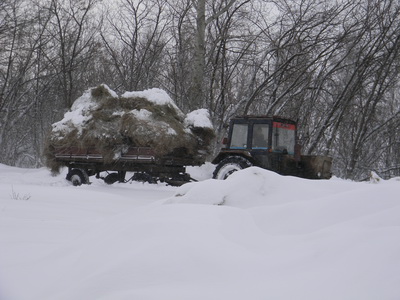 Подвоз грубых кормов на ферму
