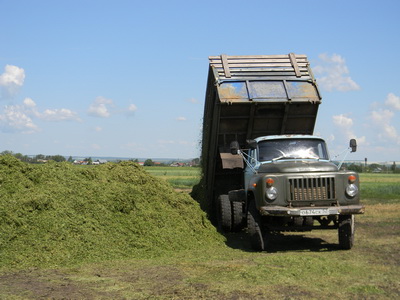 На сенажной траншее