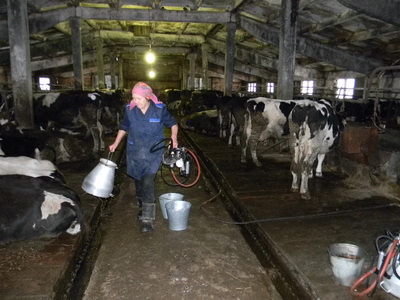 Г.А.Морозова на рабочем месте