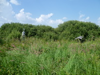 Нет следов к колодцу