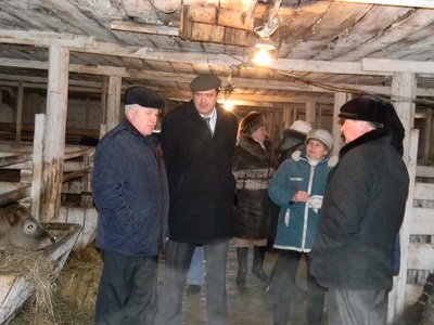 На ферме по откорме КРС