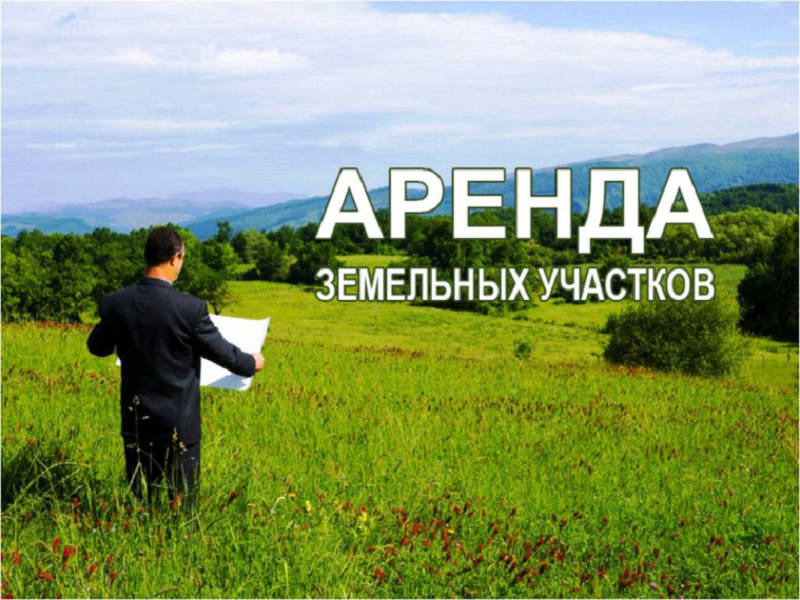 Информационное сообщение о возможном предоставлении в аренду сроком на 5 (пять) лет земельного участка с кадастровым номером 13:22:0204004:603