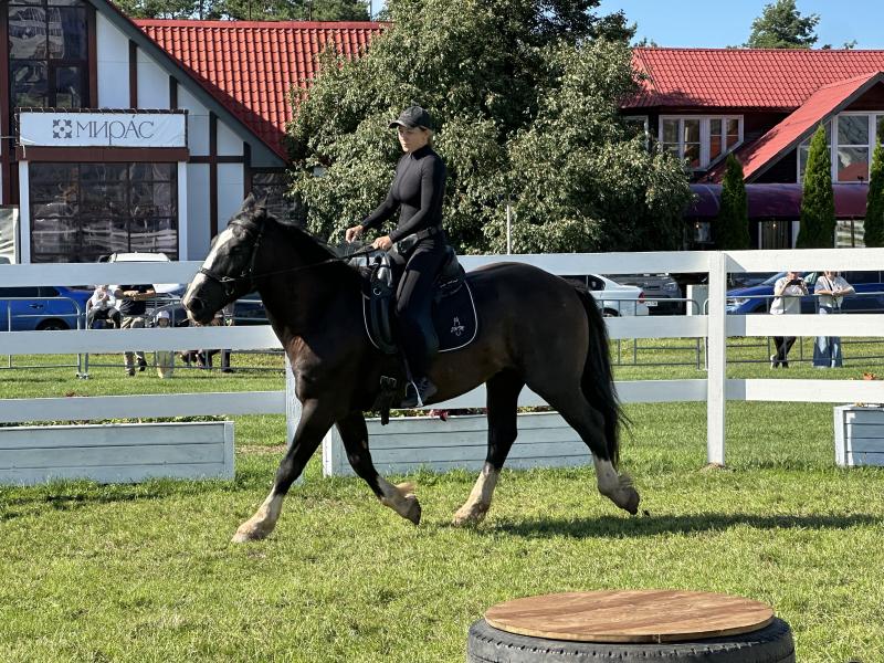 Набережные Челны встречают 400-летний юбилей конкуром
