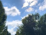 Погода в Набережных Челнах на 29 августа