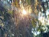 Погода в Набережных Челнах на 30 июля