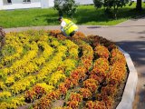 Погода в Набережных Челнах на 5 августа