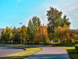 Погода в Набережных Челнах на 23 сентября