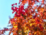Погода в Набережных Челнах на 29 сентября
