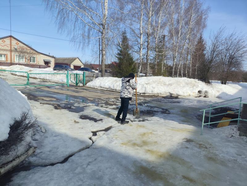 В образовательных учреждениях Кузнецкого района  идет месячник по благоустройству