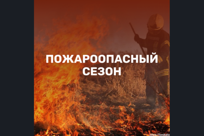 В Пензенской области утверждён план подготовки к пожароопасному сезону 2026 года
