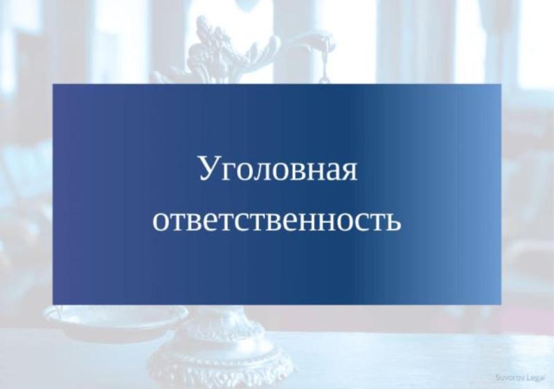 Уголовная ответственность за изготовление, хранение и применение самодельных взрывных устройств (СВУ)