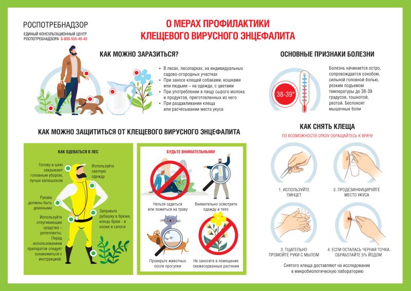 Рекомендации Роспотребнадзора гражданам:  О профилактике клещевого вирусного энцефалита (КВЭ)