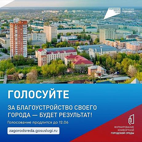 До 12 июня кузнечане могут проголосовать за объекты благоустройства