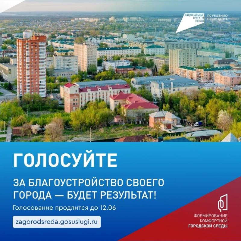 До 12 июня кузнечане могут проголосовать за объекты благоустройства