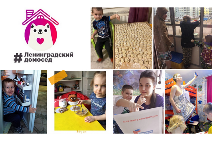 Выбираем лучшего участника акции #ленинградскийдомосед